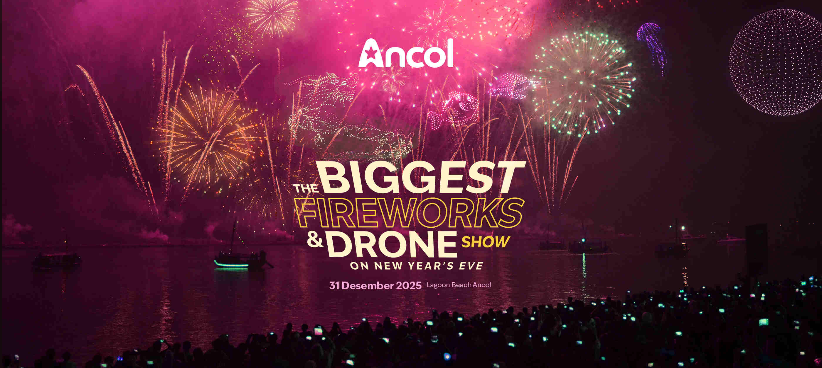 Fireworks & Drone Show